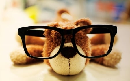 Cute Toy Dog - cute, dog, toy, glasses