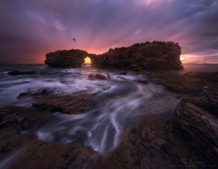 The Forlorn Gate - gate, sky, sunset, sea, nature