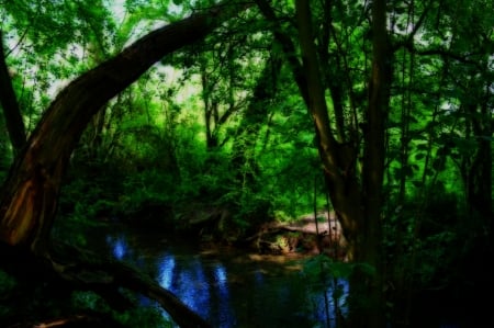 Tranquility - tranquility, narure, forest, river, foliage