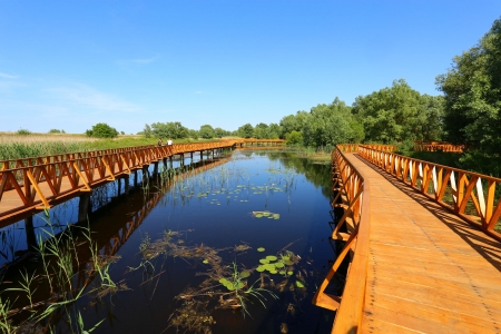 Wooden Path in Croatia - landscape, trees, river, water, countryside