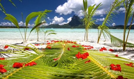 Dreamy Beach - blossoms, clouds, flowers, palms, leaves, sea