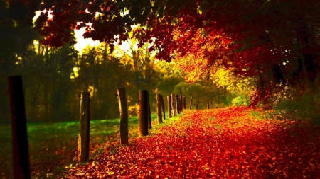 Autumn - trees, fence, nature, autumn