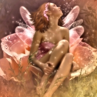 Rose Fairy