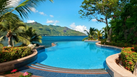 Pool - tropical, pool, vacation, swim