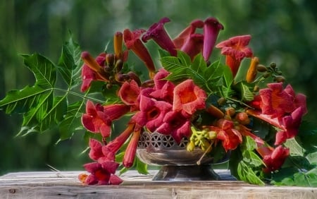 Beautiful Flowers - beautiful, vase, red, flower