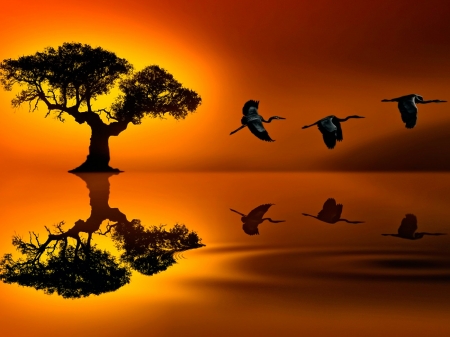 Sunset Journey - lake, reflection, trees, sunset, nature, birds