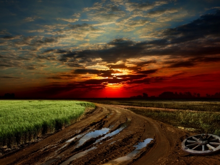 Beautiful  Sunset - nature, sky, cart, clouds, sunset, grass, road