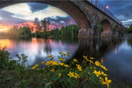 â™¥ - nature, flowers, bridge, yellow