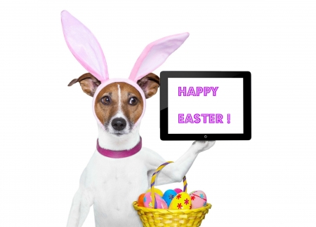 Happy Easter! - tablet, puppy, easter, funny, bunny, ears, white, yellow, pink, dog, animal, card, egg, jack russel terrier