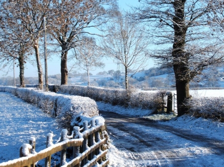 Countryside Winter - fence, sunshine, trees, snow, road