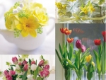 lovely spring flowers collage