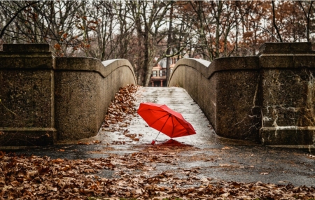 ♥ - abstract, umbrella, red, autumn