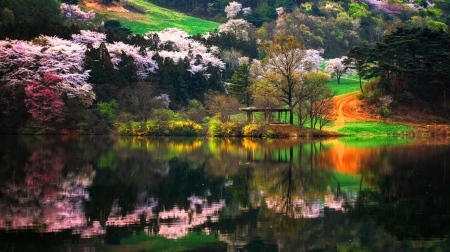 â™¥ - sky, trees, nature, river