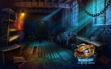 Mystery Tales 4 - Her Own Eyes05 - hidden object, cool, video games, fun, puzzle