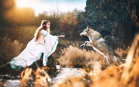 The elf princess and the wolf