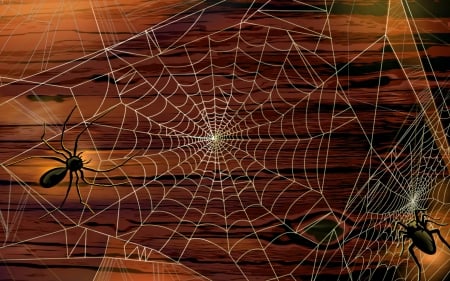 Happy Halloween! - web, spider, fantasy, wood, brown, halloween