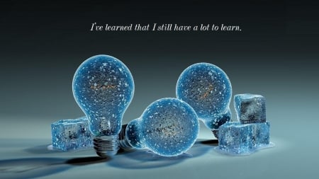 I Have Learned - frozen, ice, bulbs, light