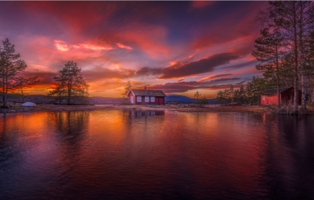 â™¥ - sky, trees, nature, sunset