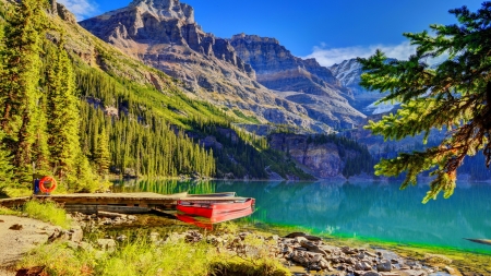 Yoho NP - lake, landscape, yoho, mountain, trees, national park, rocks, forest, reflection, mirror, beautiful, canada, boat, cliffs