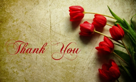 Thanks  to all my DN Friends - thank you, flowers, rose, words