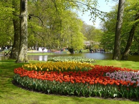 Springtime at Keukenhof, Netherlands - river, tulips, blossoms, tres, park