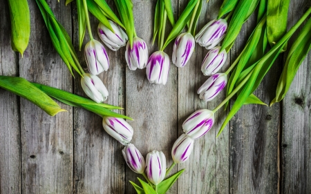 Happy Spring! - white, card, pink, heart, tulip, spring, wood, green