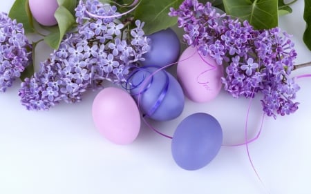 Happy Easter! - easter, purple, lilac, spring, egg, flower, pink