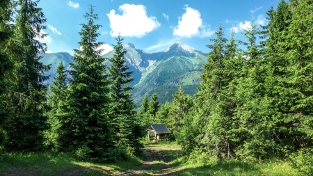 hut in mountain forest - hut, forest, mountain, clouds