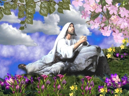 Jesus praying - gospel, christ, jesus, garden