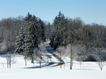 winter - snow, trees, winter, nature