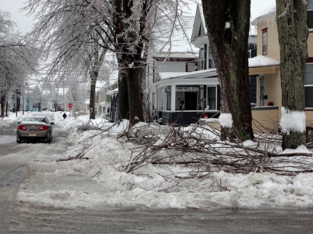 ice storm - winter, ice, trees, ny