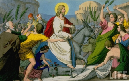 Jesus enters Jerusalem - christ, jesus, jerusalem, religion, gospel