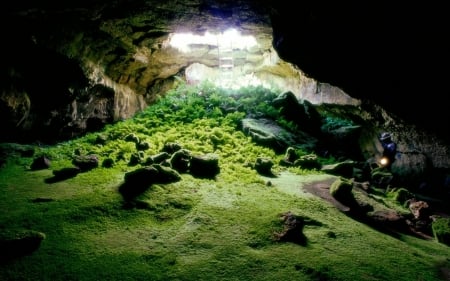 laba tube cave - laba, tube, rock, cave, grass