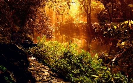 river bathed in sun - tree, grass, river, sun