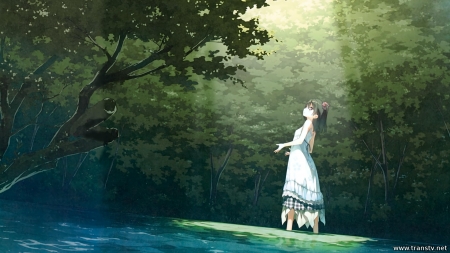 Shizuku (Kantoku) - forest, short hair, landscape, original characters, dress, shizuku, afterschool of the 5th year, kantoku, black hair