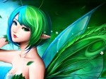 Fairy