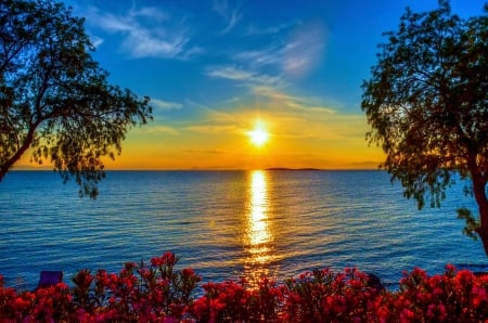 Seaside Sunset - flowers, clouds, trees, sea, reflection, sun