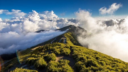 mountain ridge in the clouds - ridge, clouds, fog, mountains, grass