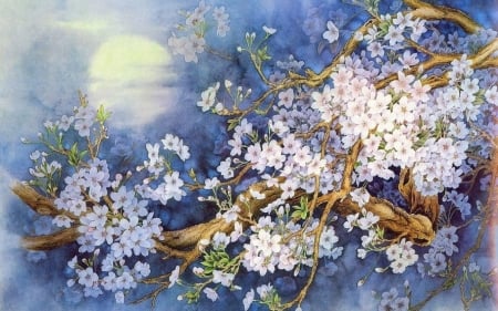 cherry blossoms under the full moon - moon, full, blossoms, cherry