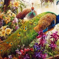 peacocks and flowers