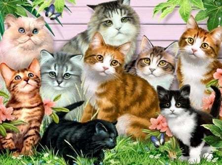 Kittens - animal, art, cat, kitten