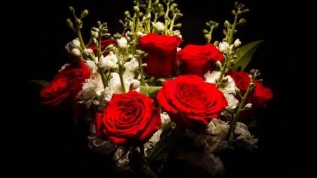 Bouquet of res roses - background, fragrance, roses, red, beautiful, bouquet, flowers, scent