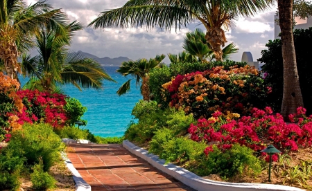 Pathway to the sea - path, flower, nature, tree