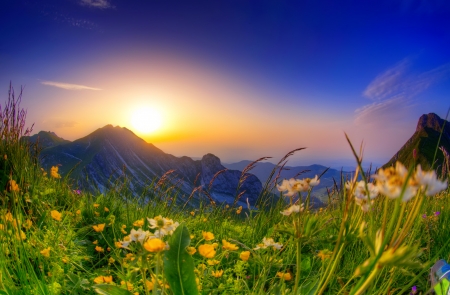 Epic Gantrisch - beautiful, sunrise, spring, grass, meadow, photo, freshness, mountain, wildflowers, glow, rays, sun, sky