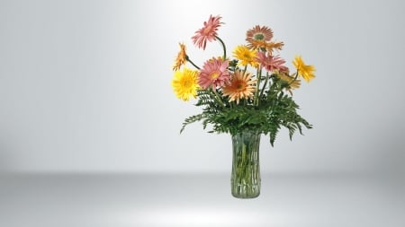 Gerbera - flowers, vase, nature, gerbera