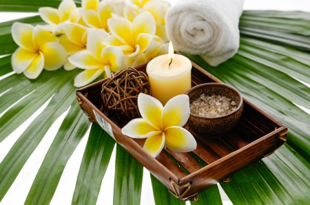 Plumeria - flowers, candles, plumeria, spa