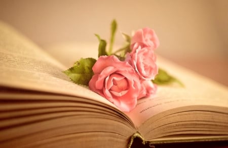 To my love - love, book, rose, pink