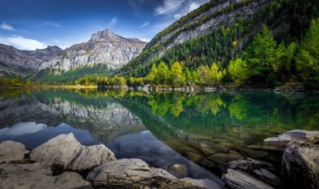 Tranquility - trees, beautiful, tranquil, landscape, forest, mountain, mirror, serenity, lake, rocks