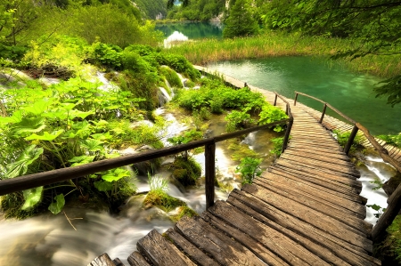 PLITVICE WATERFALL - places, national park, croatia, waterfall, rocks, nature, forest, splendor, bridge