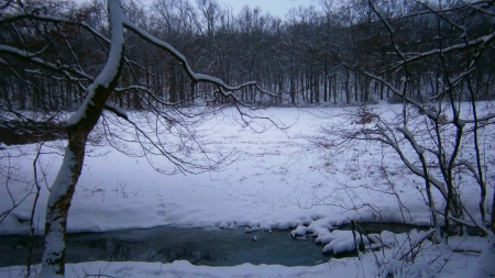 Little river with field and forest - nice, beauty, ice, croatia, winter, wood, nature, white, hrvatsko zagorje, forest, snow, beautiful, river, fantastic